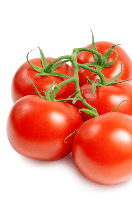 tomate-rama-umamy